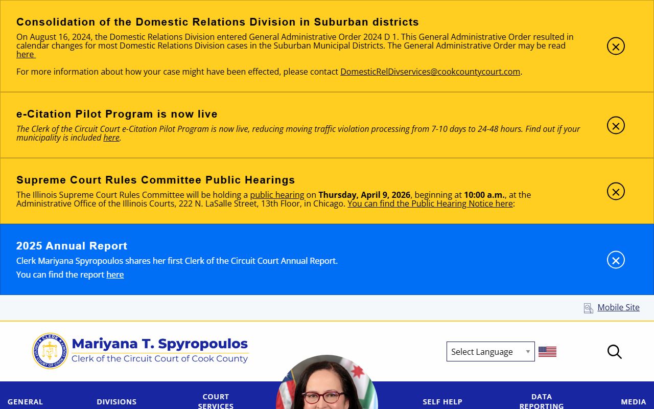 Cook County Domestic Relations Division dissolution of marriage cases Chicago